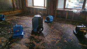 United Water Damage Restoration Mold Removal San Jose